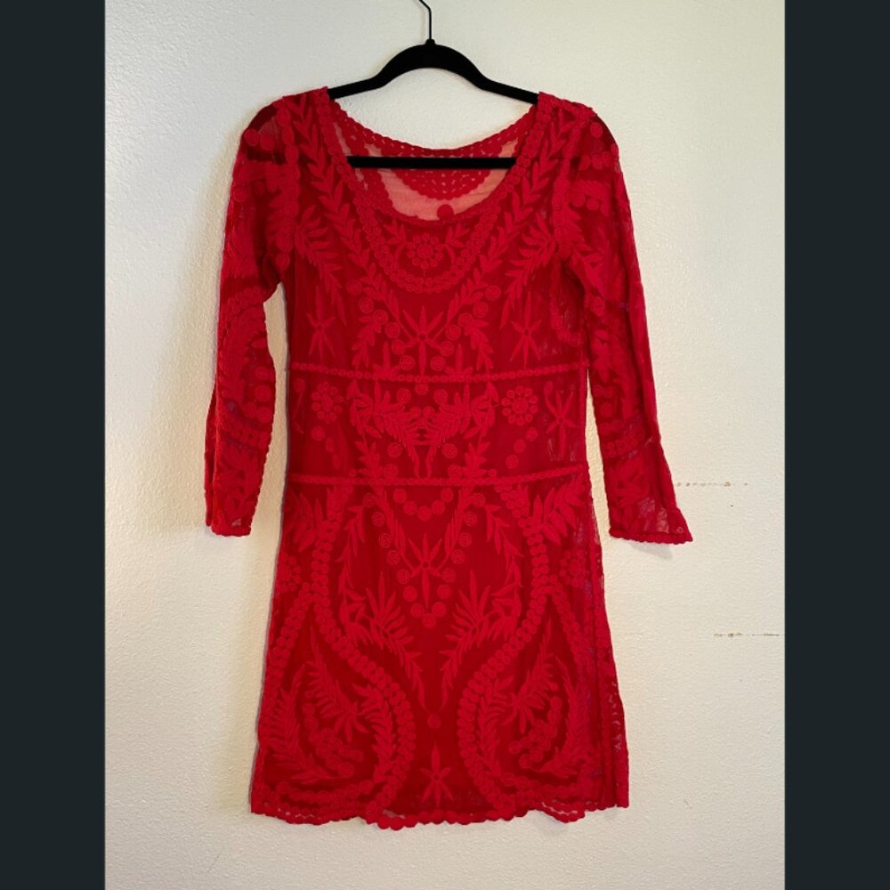 Express Red Embroidered Lace Mini Dress